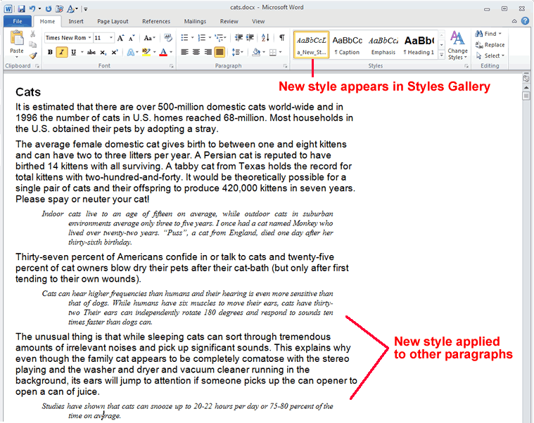 Screen-shot of MS-Word showing results of having added a new style