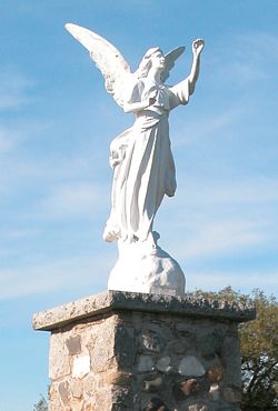 Photo of an angel statue in a cemetery